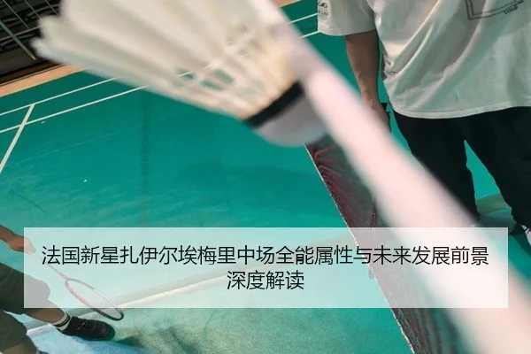 法国新星扎伊尔埃梅里中场全能属性与未来发展前景深度解读