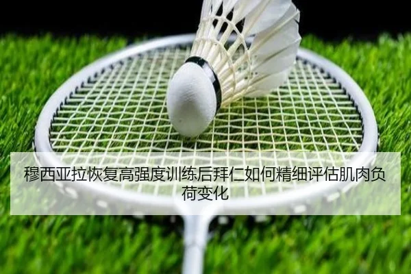 img_1783346063459_1169_1_722.jpg