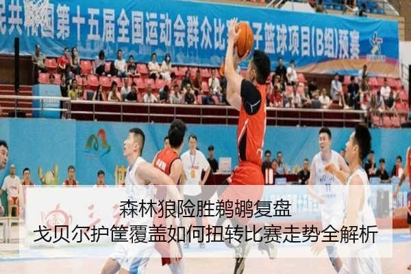 森林狼险胜鹈鹕复盘 戈贝尔护筐覆盖如何扭转比赛走势全解析